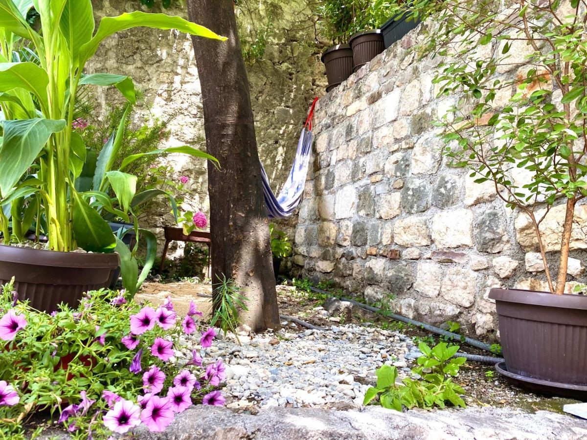 Healthystudio512 Apartments Kotor Dış mekan fotoğraf
