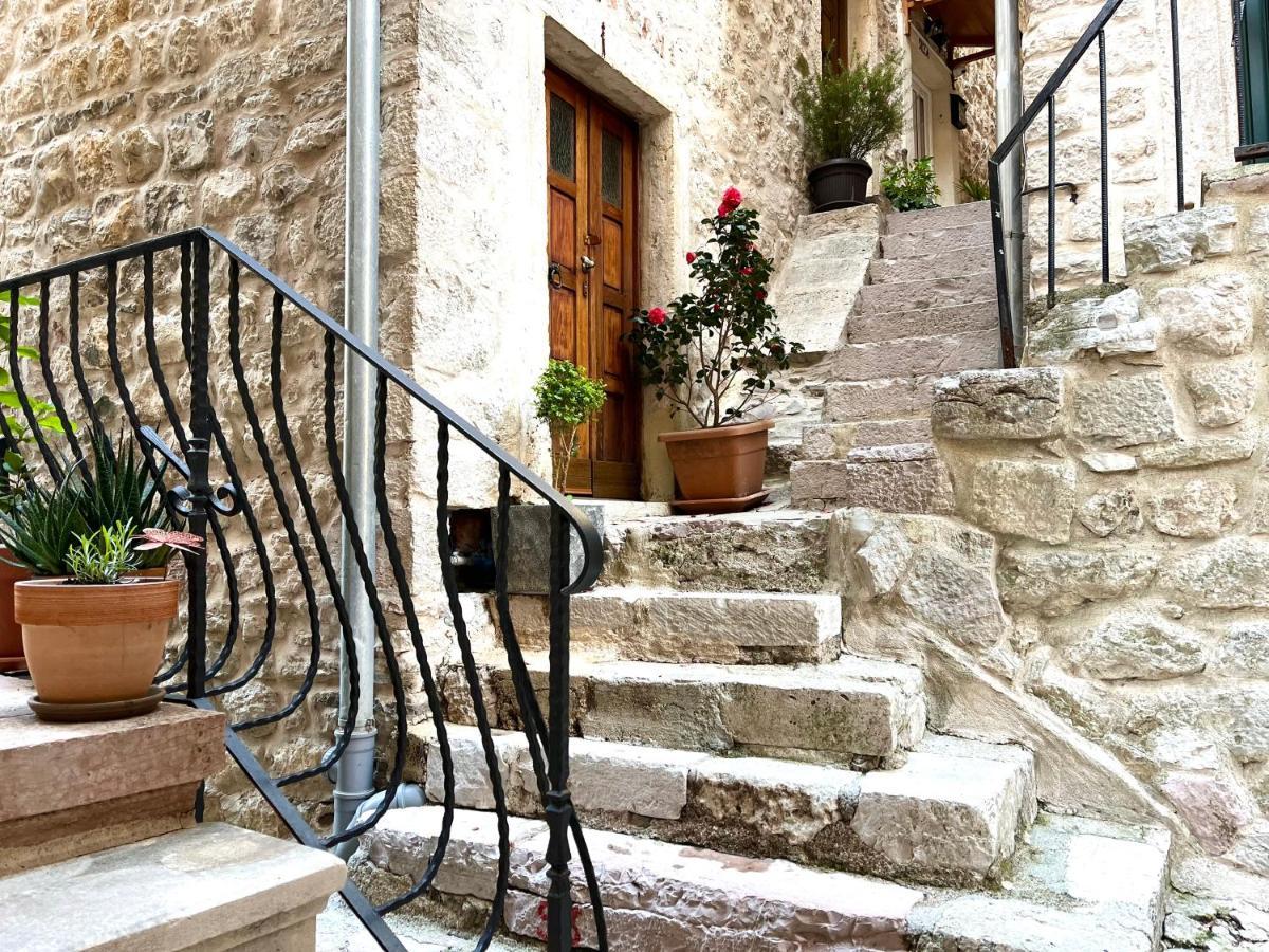 Healthystudio512 Apartments Kotor Dış mekan fotoğraf