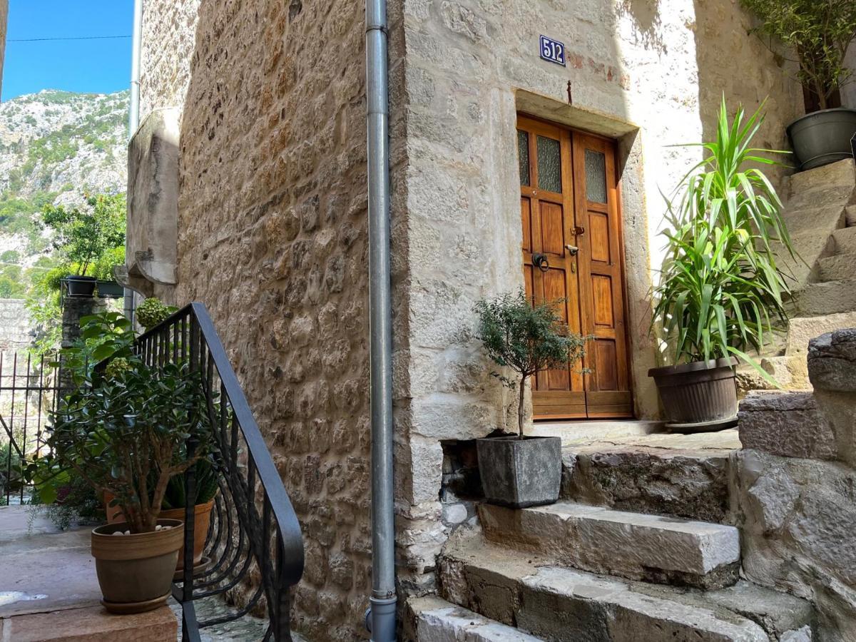 Healthystudio512 Apartments Kotor Dış mekan fotoğraf