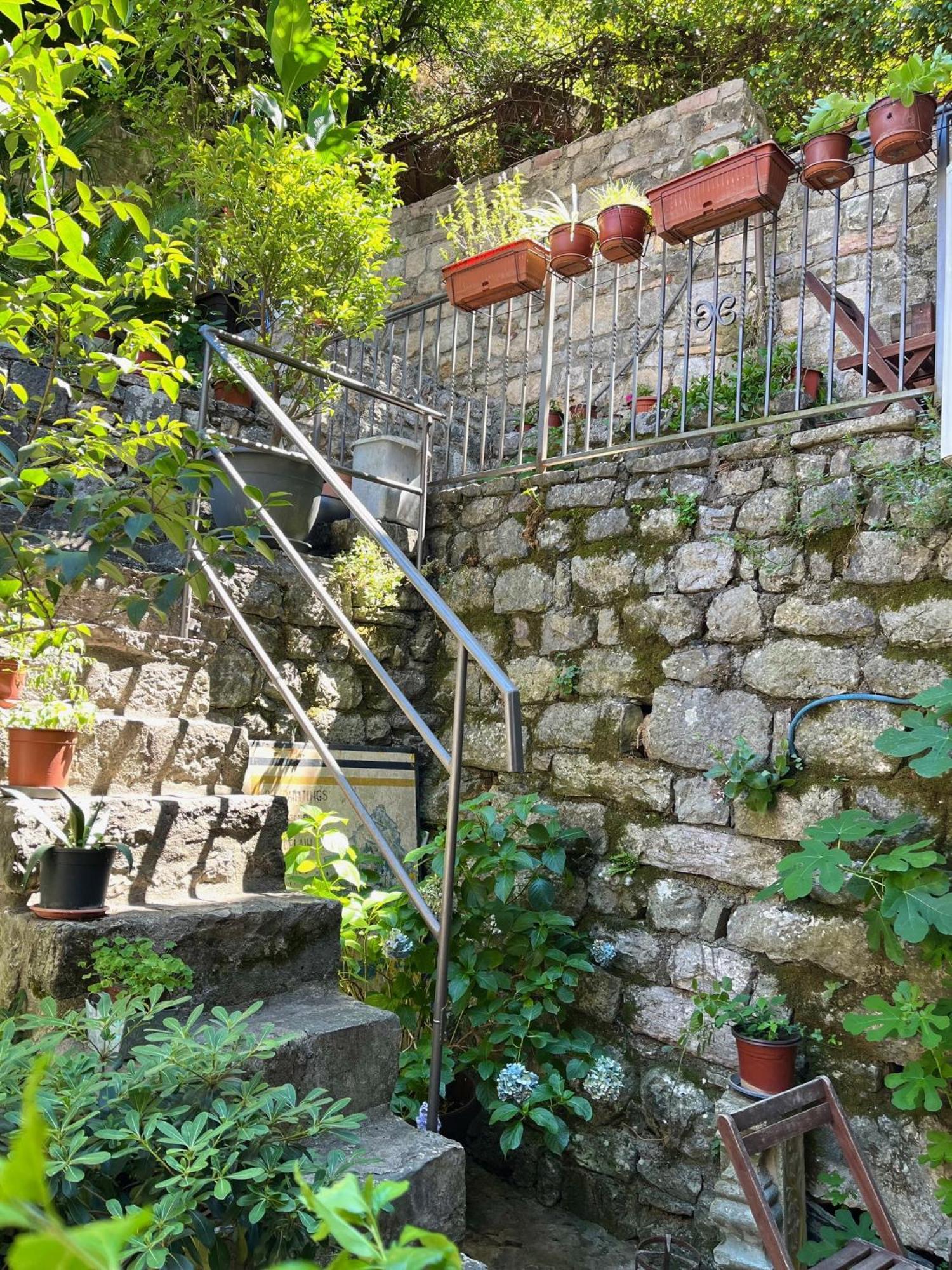Healthystudio512 Apartments Kotor Dış mekan fotoğraf