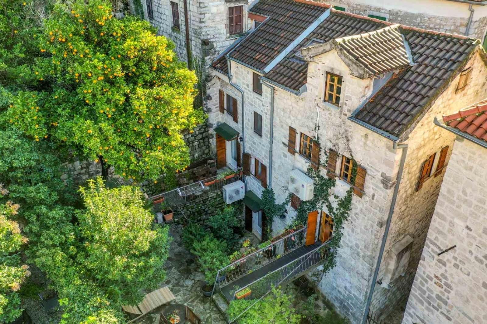 Healthystudio512 Apartments Kotor Dış mekan fotoğraf